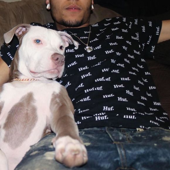 Meet your Posher, Que - Picture 1 of 1